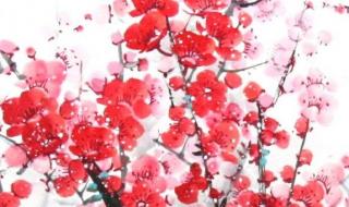 梅花魂的五个批注 梅花魂课堂笔记图片